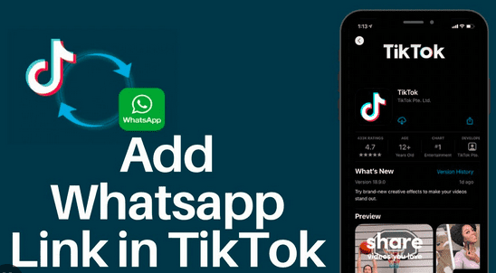 Cara Membuat Link Wa di Tiktok Cara Membuat Link Wa di Tiktok