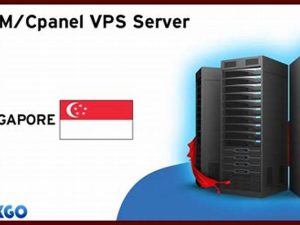 Vps Whm Cpanel