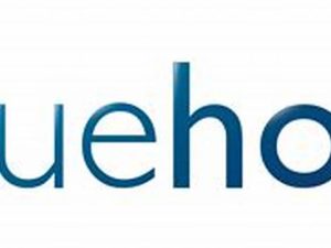 Bluehost